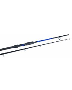 Aquantic Salt Shad² XPRO Halibut Spin  2,55m bis 280g