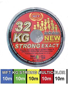 WFT _NEW _KG_ Strong_ Exact